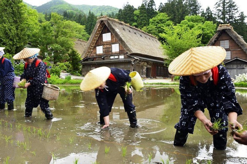 Shirakawa-go from Kanazawa: Private Car & Driver, No Guide 3