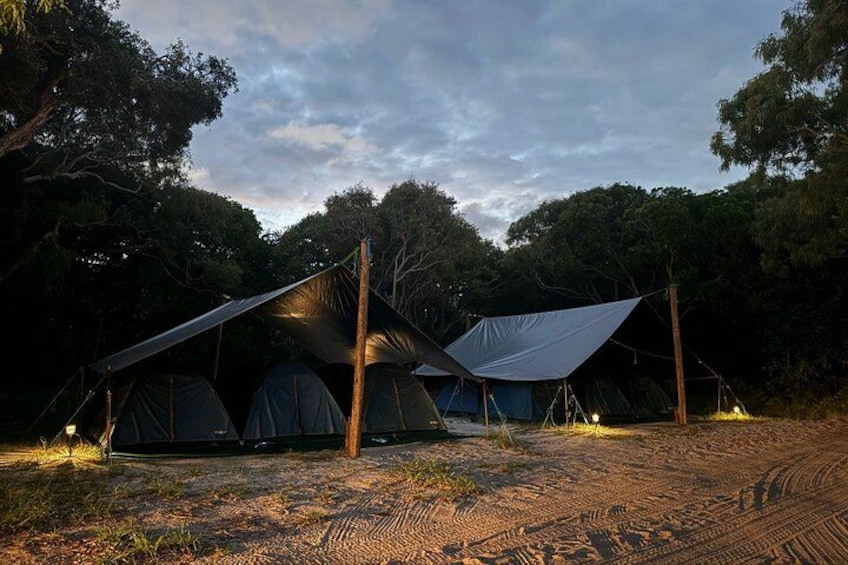 Dingos Private Camp 2