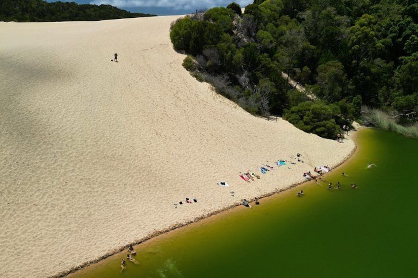 A sandy beach with people sunbathing and swimming. 5