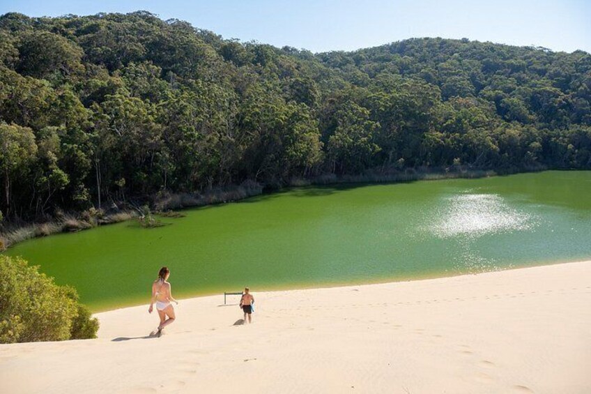 Hike across the spectacular Hammerstone Sandblow to swim in the clear green waters of Lake Wabby 4