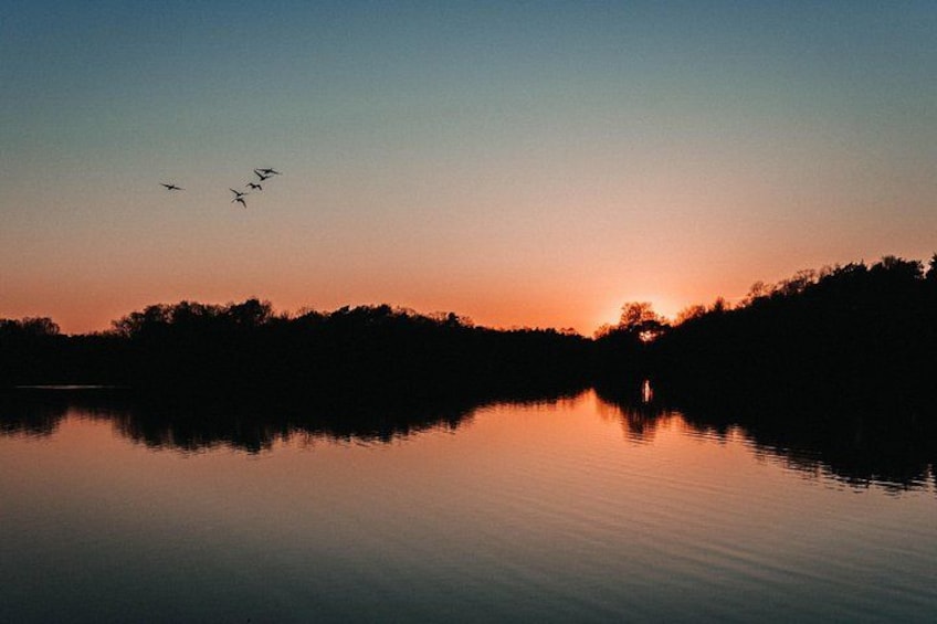 Fireflies Tour in Cherating 5