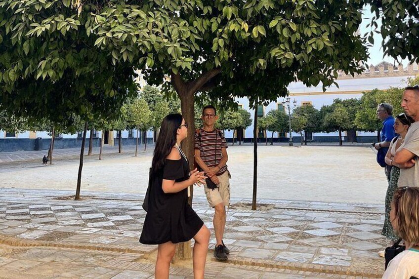 Small group tour: Highlights of Seville 4