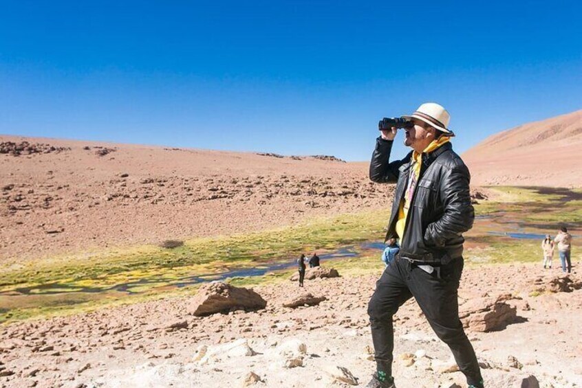 Tatio Geysers 