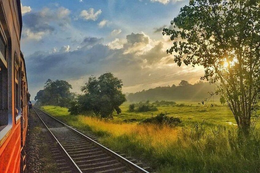 A train on tracks with a rural landscape, including fields and trees. 3