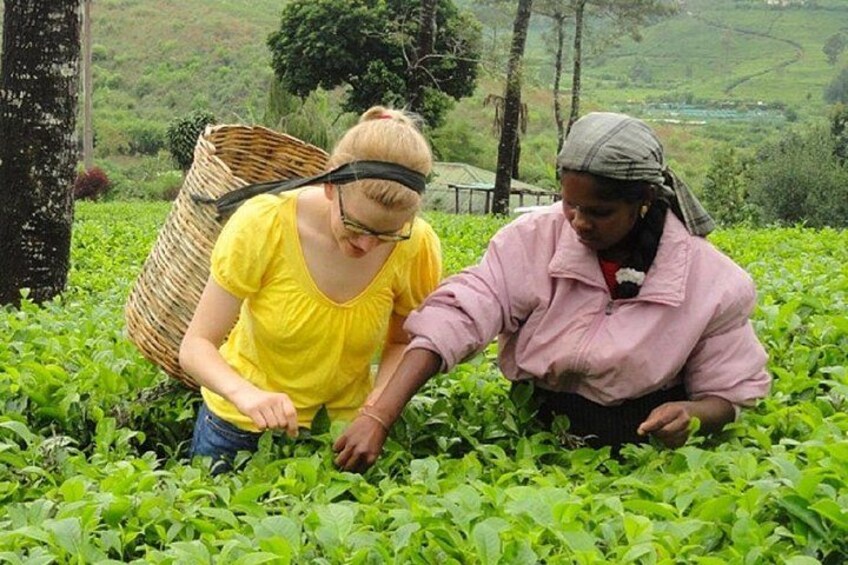 Dos personas en un campo, una vestida de amarillo y la otra de rosa, rodeadas de abundante vegetación verde. 1
