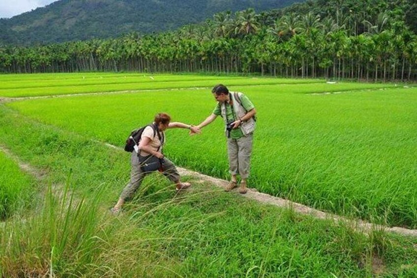 Two people walking on a narrow path in a lush green field with a mountain in the background. 5