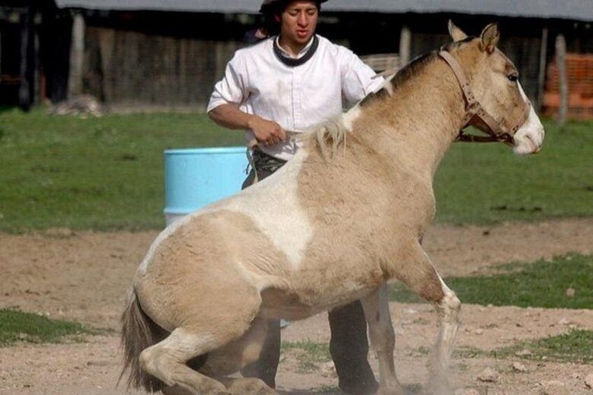 Gaucho Day Tour Don Silvano Estancia From Buenos Aires 3