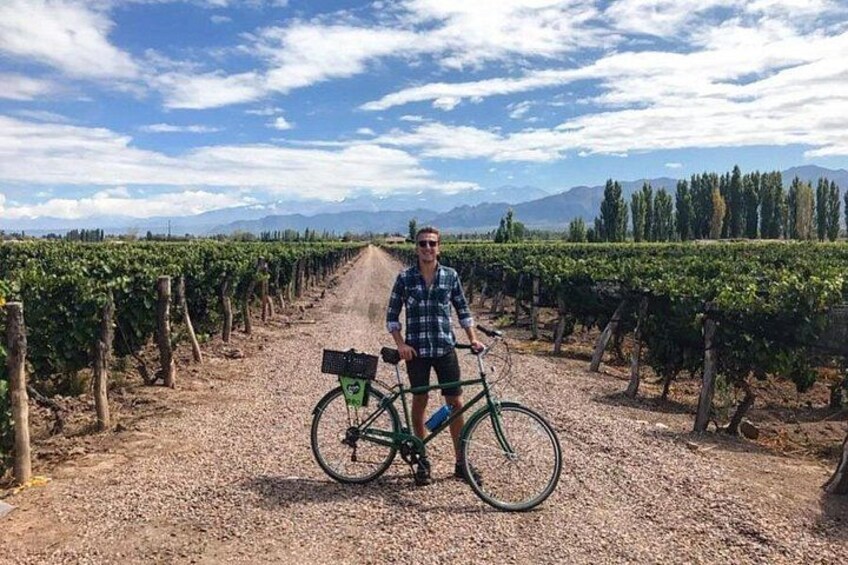 Self-Guided Bike Tour in Luján de Cuyo Wine Region (Mendoza) 2