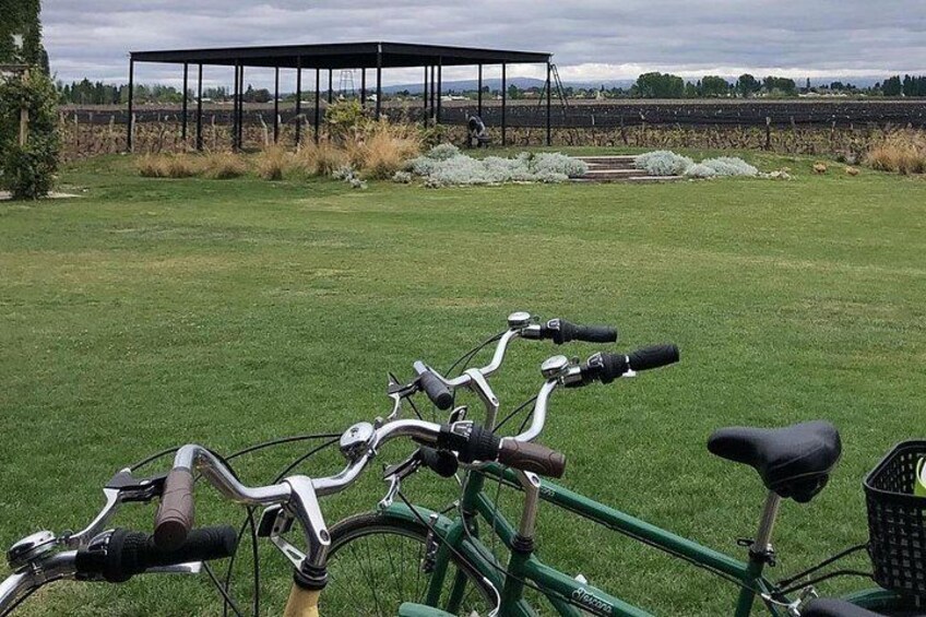 Self-Guided Bike Tour in Luján de Cuyo Wine Region (Mendoza) 5