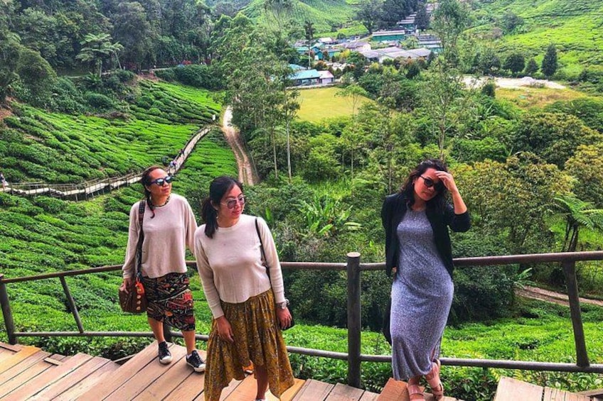Boh Tea Plantation 5