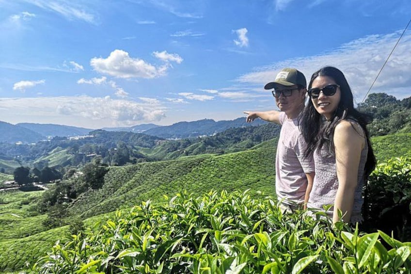 Beautiful Scenery around Boh Tea Plantation 1