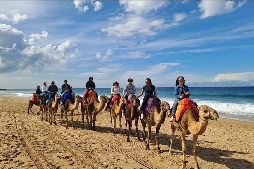 From Tangier: Cap Spartel and Hercules Cave with Camel Ride 1