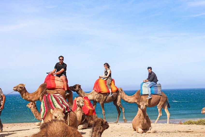 Personas montando camellos en una playa, con el océano al fondo. 4