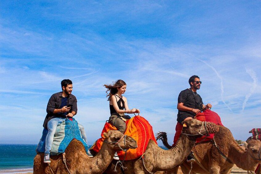 Tres personas cabalgando camellos en una playa, con el océano al fondo. 5