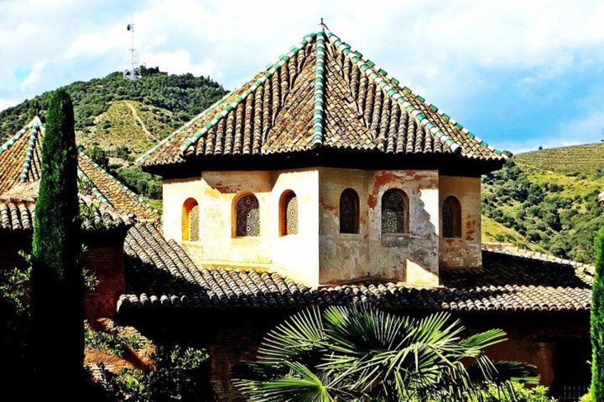 Alhambra & Generalife Skip the Line Premium Tour including Nasrid Palaces 4