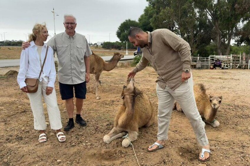 Authentic Full Day Private Tour of Tangier 3