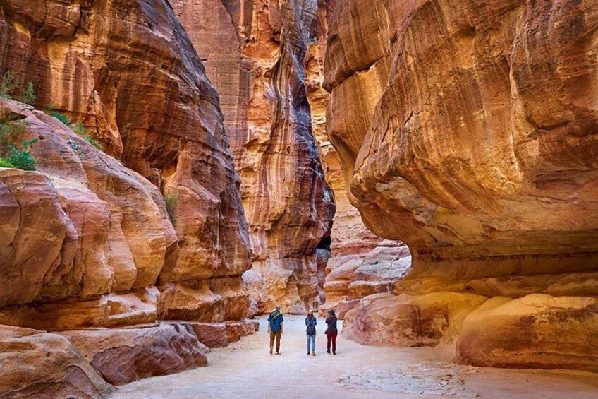 Petra & Wadi Rum (1 Day Private tour) 2