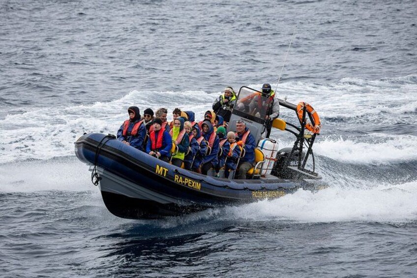 One of our Zodiacs 5