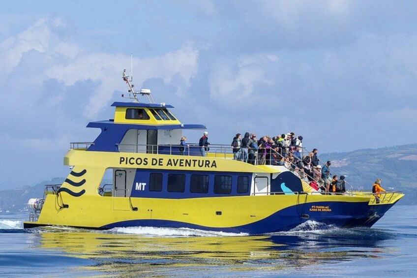 Our catamaran crusing along 5