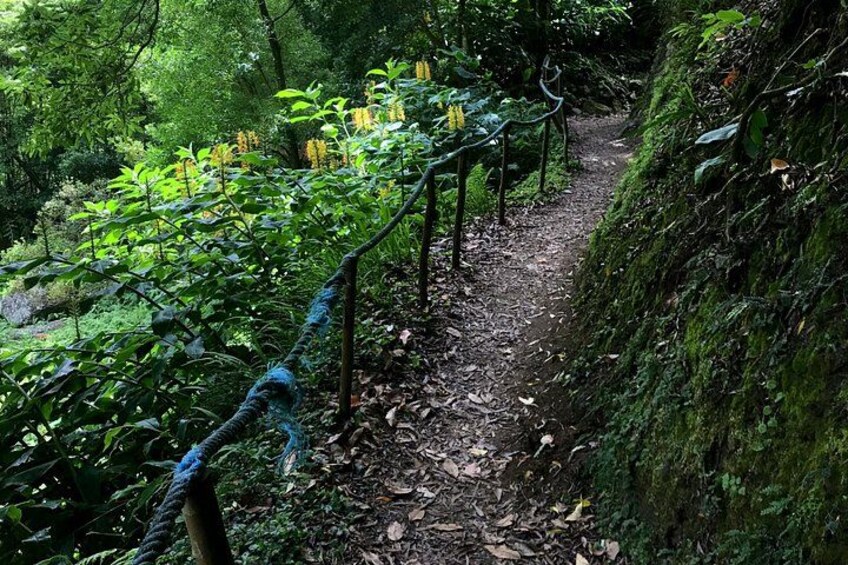 Sanguinho Hike from Ponta Delgada 3