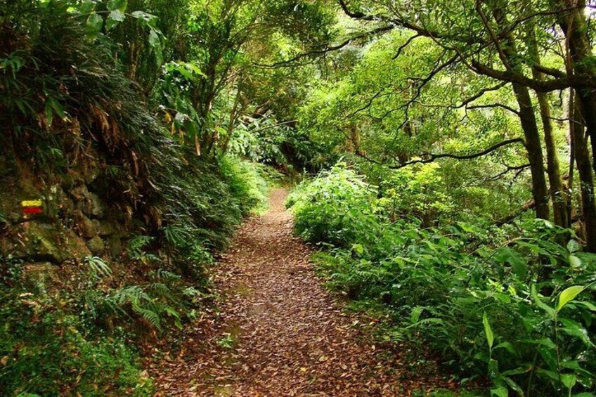 Follow the unbeaten path 1