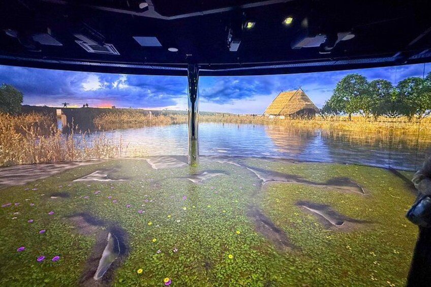 Un grande acquario con vita acquatica, una zona verde e un edificio sullo sfondo. 3