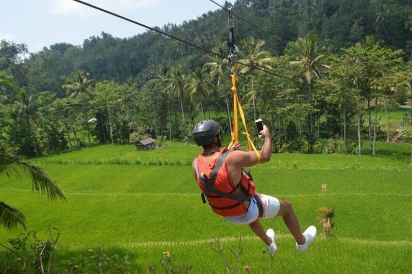 A person zip-lining over a lush green landscape with palm trees and a small house in the background. 5