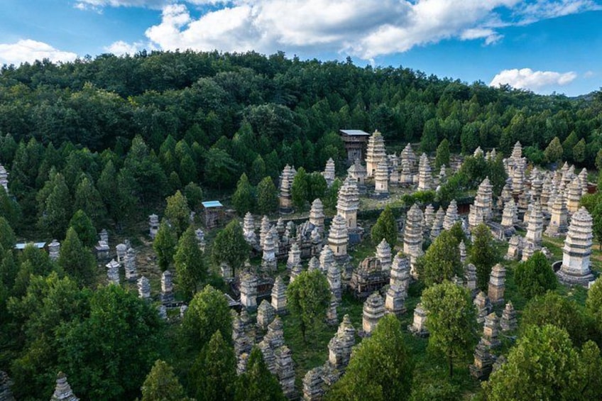 A forested area with numerous pagoda-style structures. 3