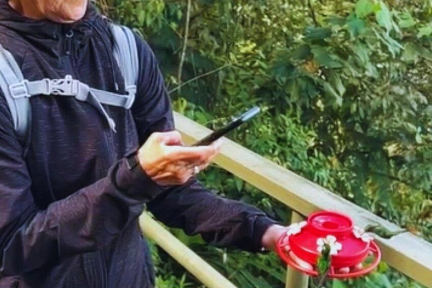 Mindo Cloud Forest & Adventure Tour 2