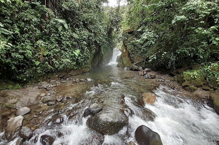 Mindo Cloud Forest & Adventure Tour 5