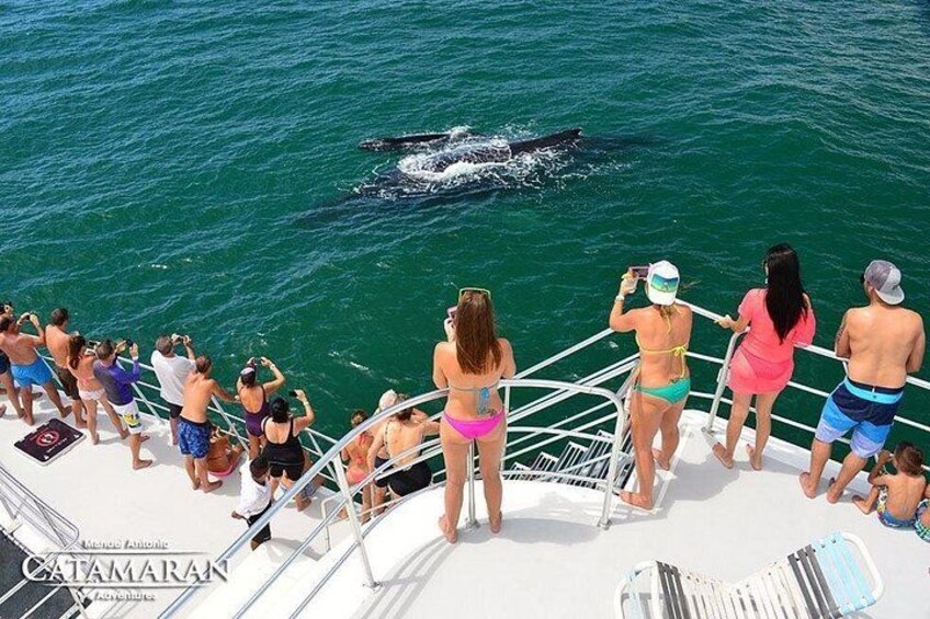 Catamaran Ocean King Manuel Antonio 3