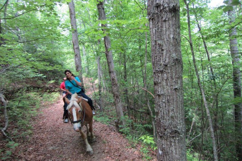 Dos personas cabalgando por un sendero en el bosque. 4