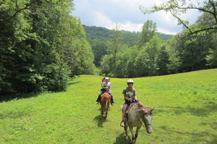 Dos personas montando a caballo por un sendero cubierto de hierba, rodeado de árboles. 5