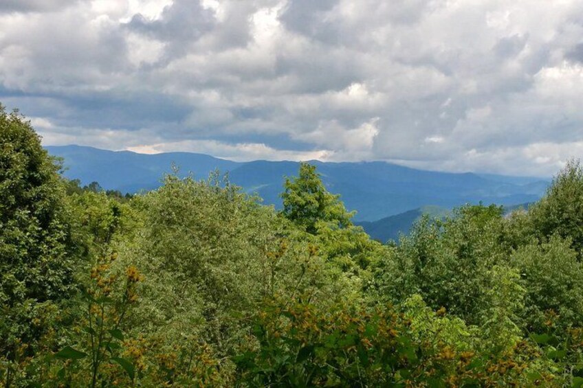 A mountainous landscape with dense green foliage and a cloudy sky. 3