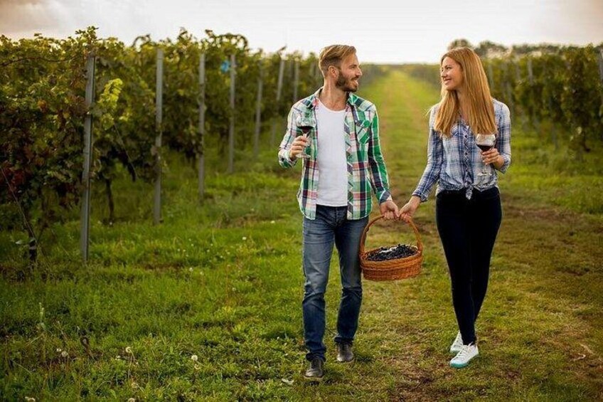 Premium Wine Tour with Cheese & Charcuterie Board 5