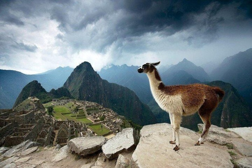 Machupicchu official entrance ticket allows you to enter the area to take pictures 4