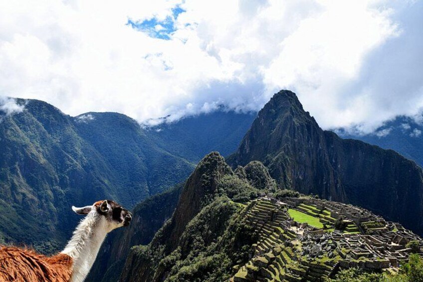 Visit Machupicchu citadel with the official entrance ticket 5