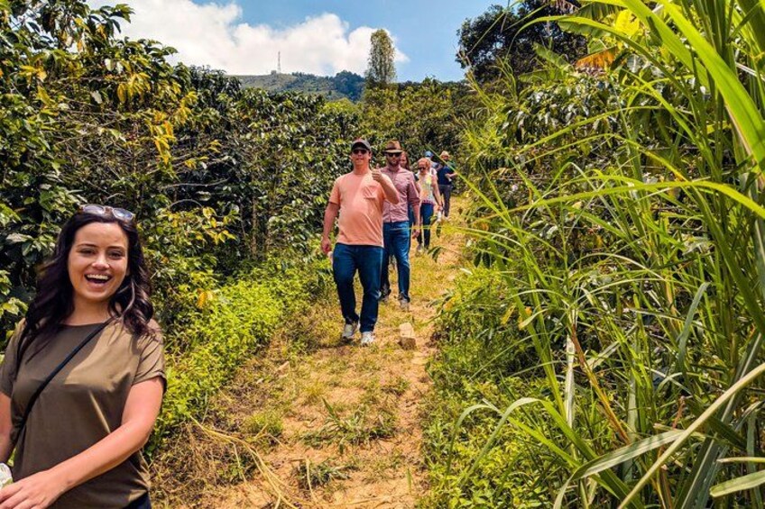 Half-Day Coffee Tour: From the Seed to the Cup, Farm & roastery 5