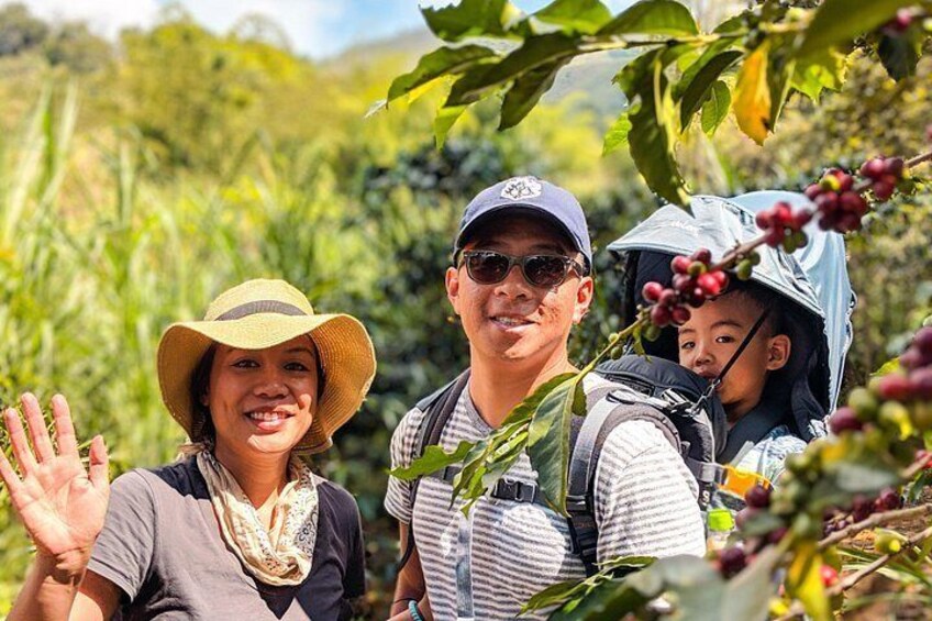 Half-Day Coffee Tour: From the Seed to the Cup, Farm & roastery 3