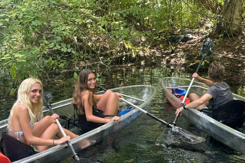 View Gators in their natural habitat with a friendly, knowledgeable guide 4