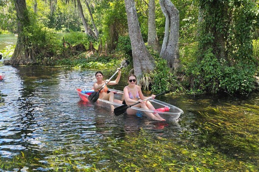 Silver Springs is a gorgeous environment to spot gators safely 5