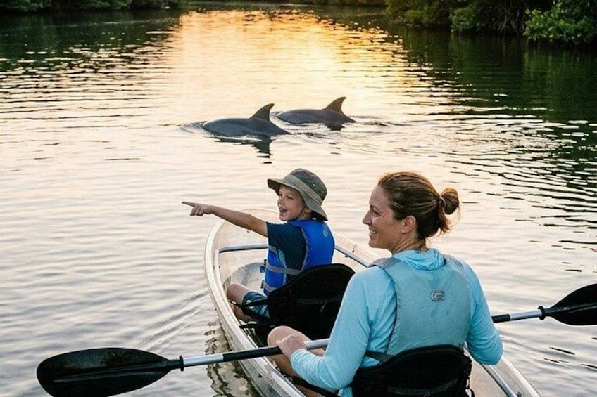 Een persoon in een kajak met een kind dat naar dolfijnen in het water wijst. 1