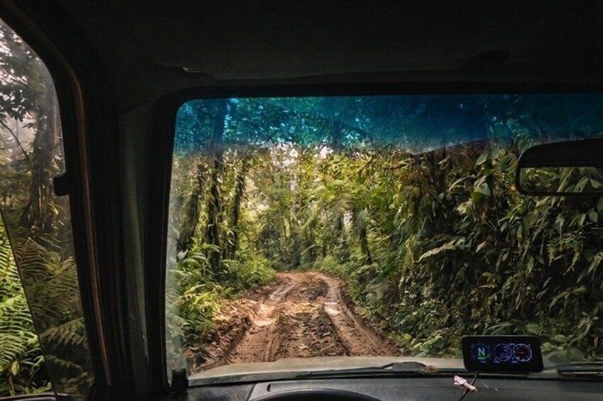 Mindo Cloud Forest Private Tour: Chocolate, Coffee, Birds, Nature 2
