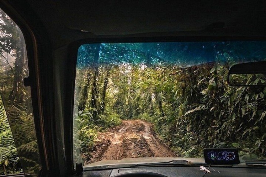 Mindo Cloud Forest Private Tour: Chocolate, Coffee, Birds, Nature 4