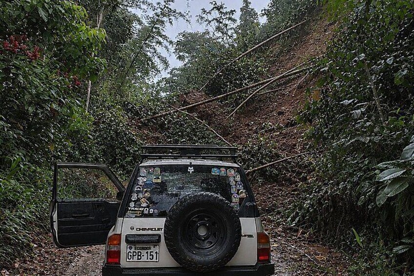 Un véhicule tout-terrain blanc, avec une roue de secours fixée à l’arrière, est garé sur un sentier étroit bordé d’arbres. 3