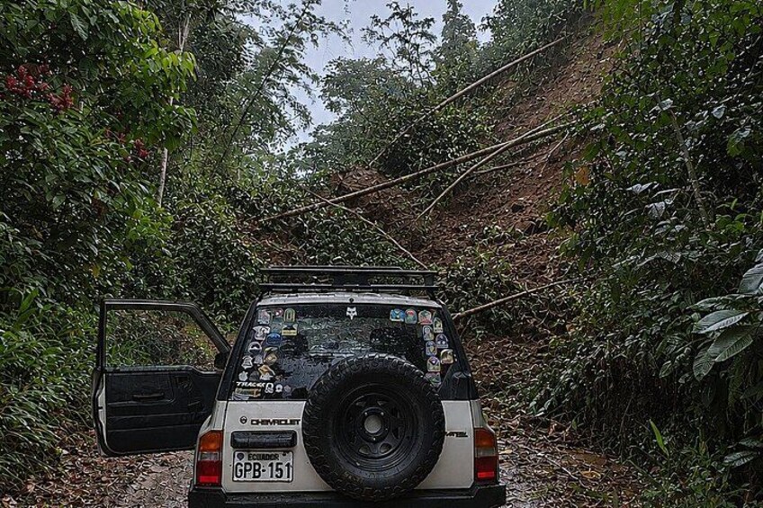 Un veicolo fuoristrada bianco con ruota di scorta montata sul retro, parcheggiato su un sentiero sterrato circondato da fitta vegetazione. 3