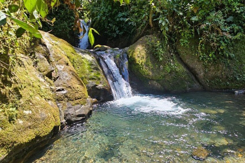 Mindo Tour: Hummingbirds, Butterflies, Waterfall & Cable Car 2