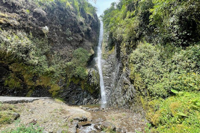 Cocoa and Cloud Forest private full day tour 3