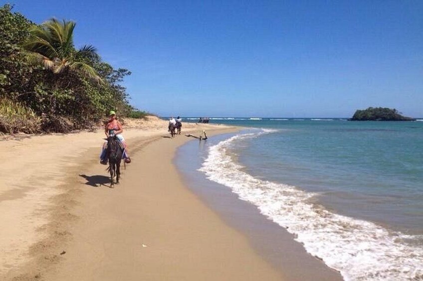 Beach Horseback riding 5