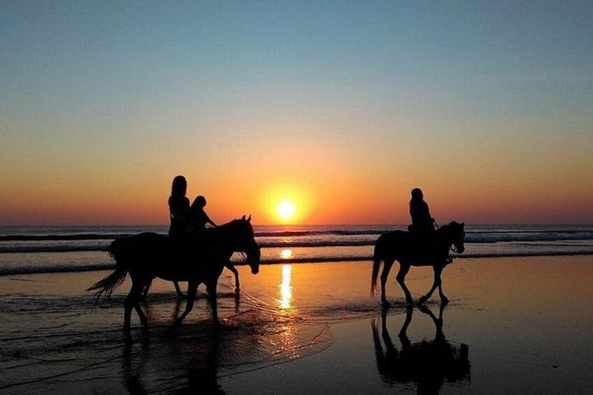 Sunset Beach Horseback Riding 1